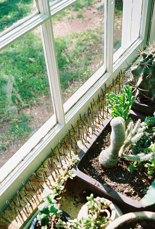 mm07
